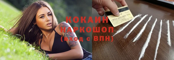 стаф Тавда