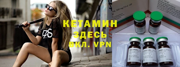 стаф Тавда