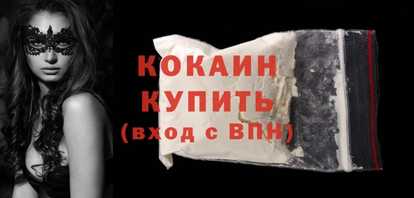 стаф Тавда