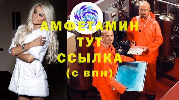 стаф Алексин