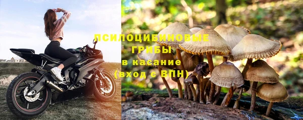 эйфоретик Сясьстрой