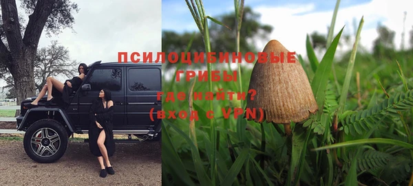 стаф Тавда