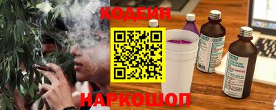 стафф Гатчина
