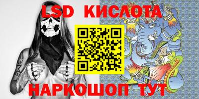 стафф Гатчина