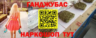 стафф Гатчина