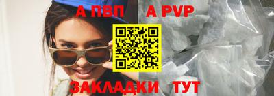стафф Гатчина