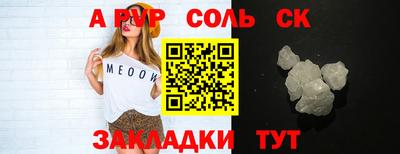 стафф Гатчина