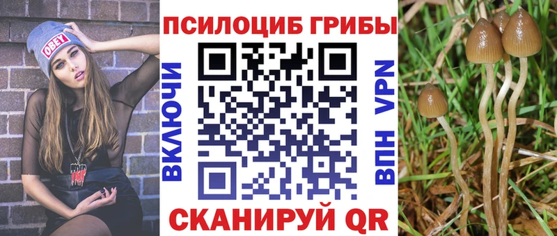 цены наркотик  Кострома  это формула  Галлюциногенные грибы мухоморы 
