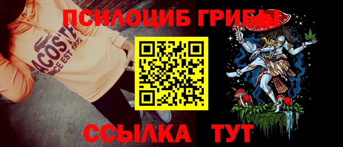 Псилоцибиновые грибы Magic Shrooms  Вход с VPN  Кострома 