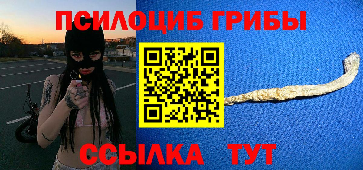 Галлюциногенные грибы ЛСД Кострома
