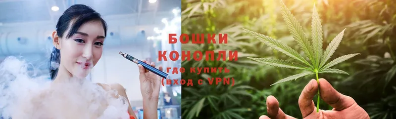 как найти закладки  мориарти формула  Канабис White Widow  Кострома 