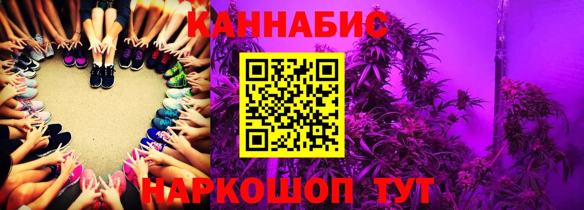 Бошки Шишки гибрид Кострома